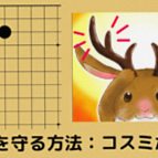 星での隅の守り方