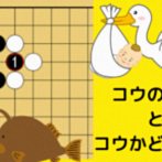 コウの形