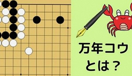 【囲碁の万年コウとは】なぜセキが関係するのか？仕組みと形を解説