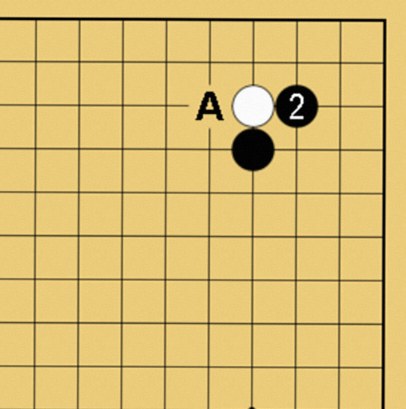 ハネとは