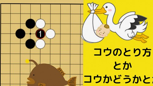 コウの形