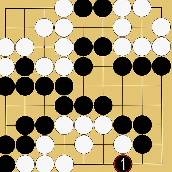 コウの実戦例