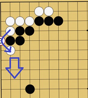 ハサミツケ後の変化図