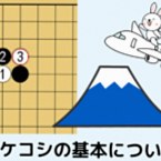 ツケコシについて