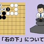 石の下について