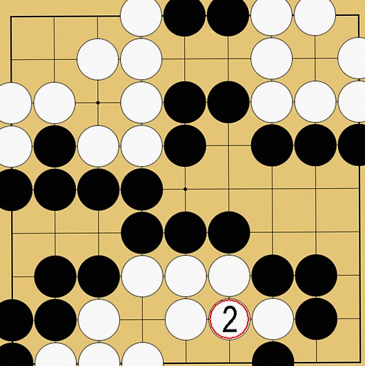 コウの実戦例