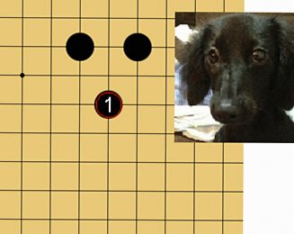 【囲碁の「猫の顔」「犬の顔」「馬の顔」は好形！】知っているだけで得をする石の形